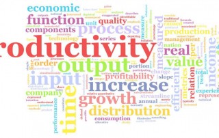 Employee Productivity and Diet