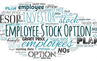 terms related to employee stock option plan